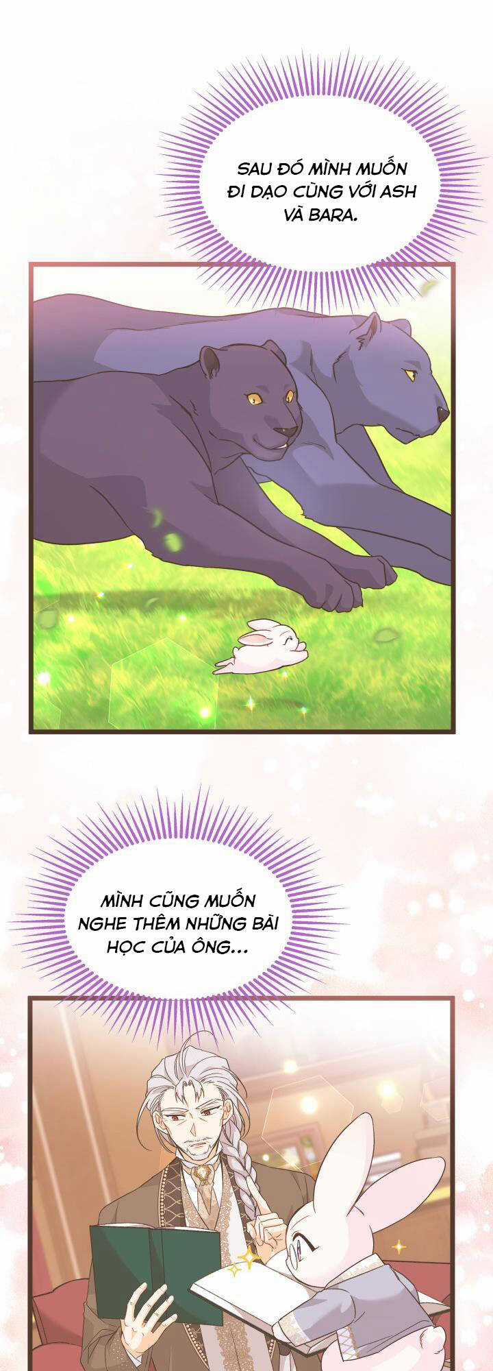 Mối Liên Kết Giữa Báo Đen Và Bé Thỏ Chapter 124 trang 29