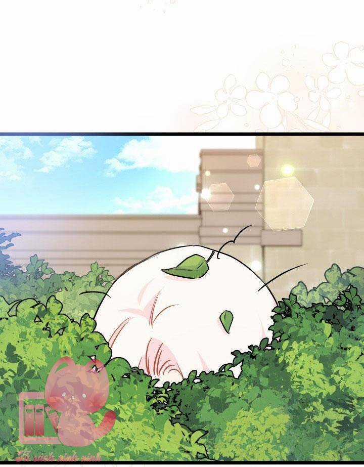 Mối Liên Kết Giữa Báo Đen Và Bé Thỏ Chapter 126 trang 18