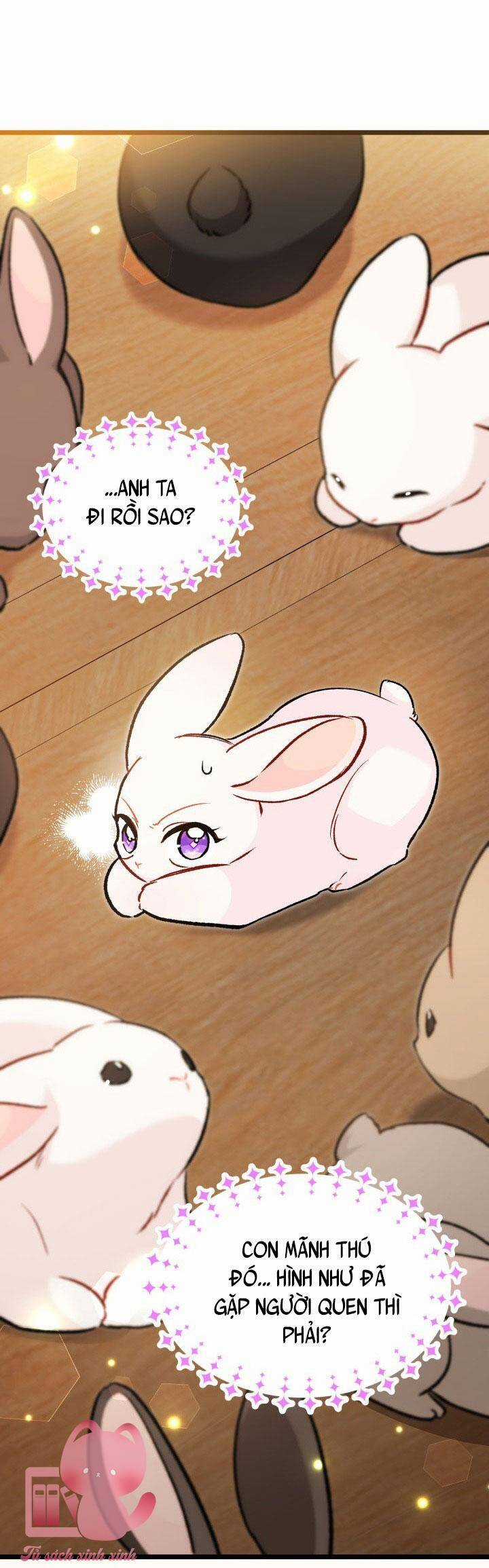 Mối Liên Kết Giữa Báo Đen Và Bé Thỏ Chapter 127 trang 52