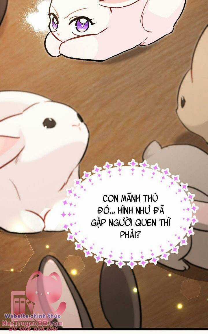 Mối Liên Kết Giữa Báo Đen Và Bé Thỏ Chapter 127 trang 65