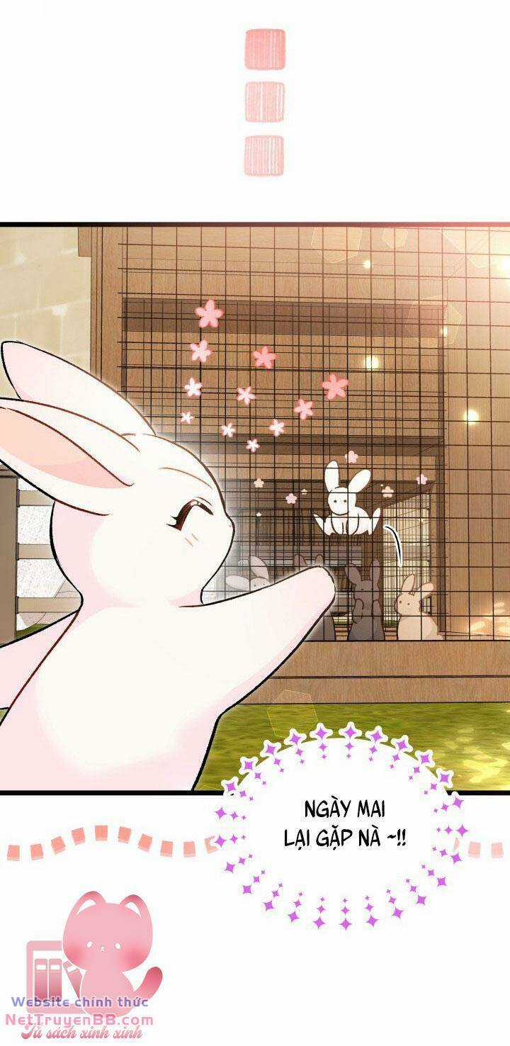 Mối Liên Kết Giữa Báo Đen Và Bé Thỏ Chapter 127 trang 68