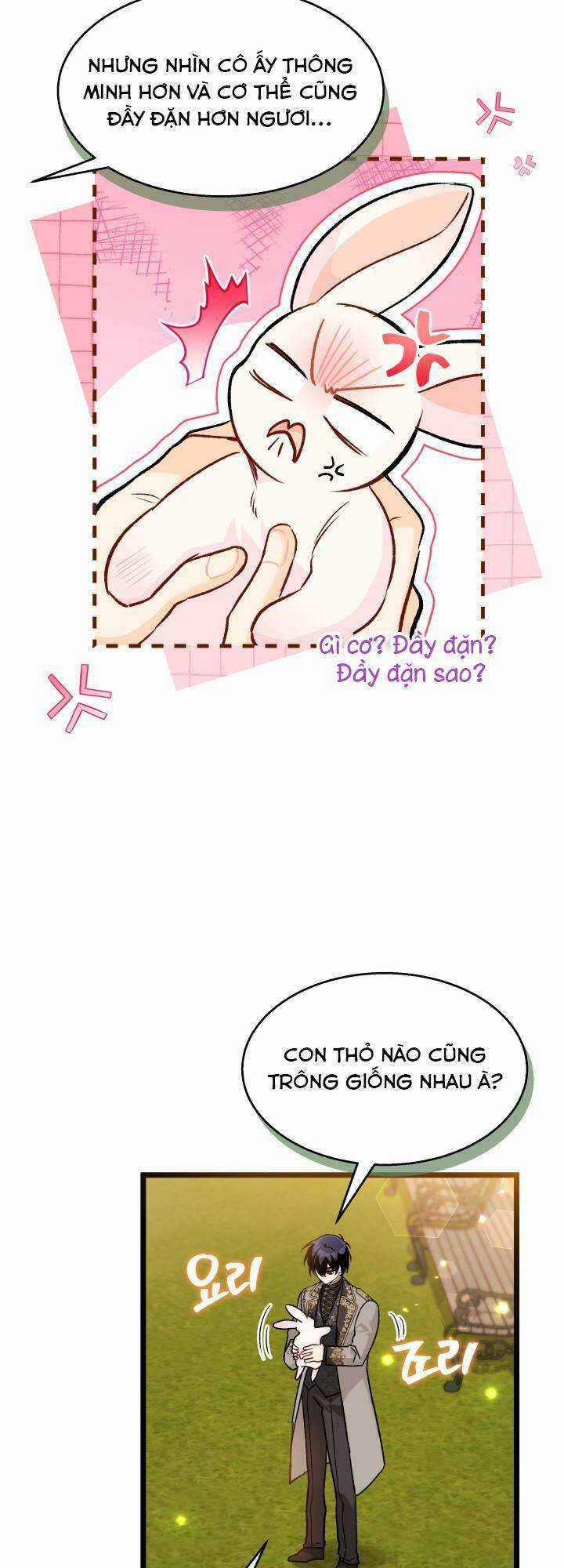 Mối Liên Kết Giữa Báo Đen Và Bé Thỏ Chapter 128.1 trang 14