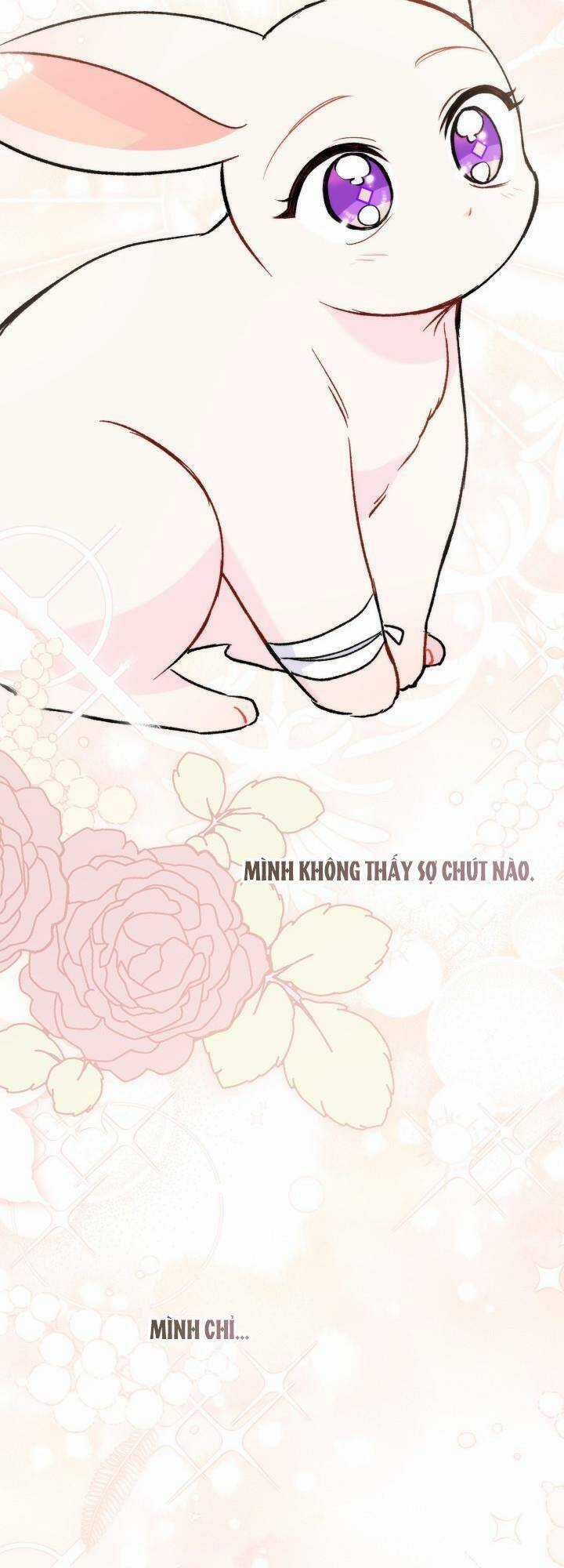 Mối Liên Kết Giữa Báo Đen Và Bé Thỏ Chapter 128.2 trang 4