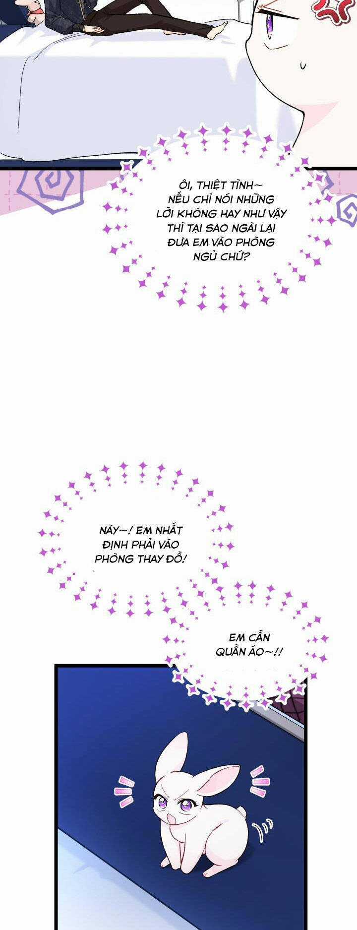 Mối Liên Kết Giữa Báo Đen Và Bé Thỏ Chapter 130 trang 28