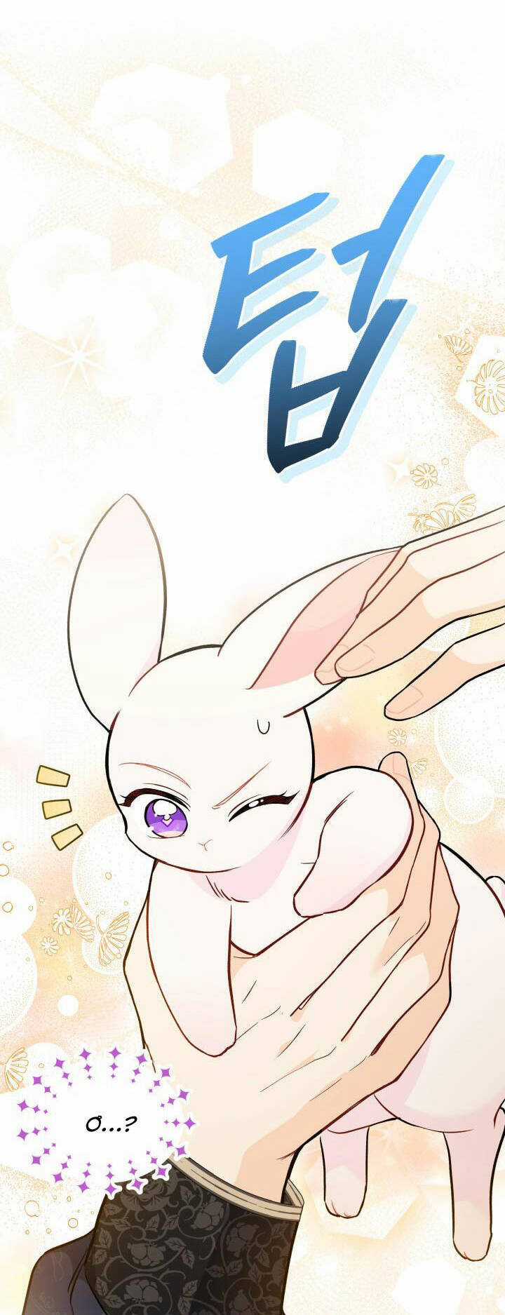 Mối Liên Kết Giữa Báo Đen Và Bé Thỏ Chapter 130 trang 35