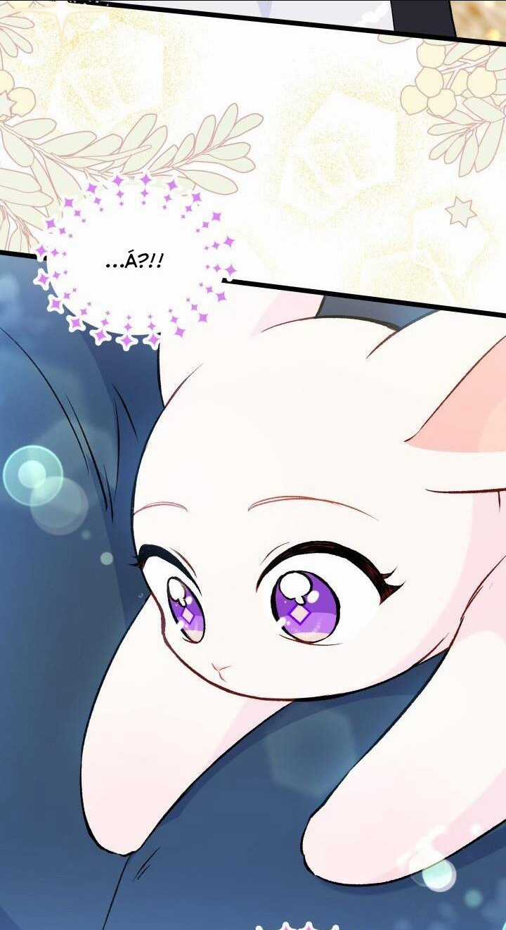 Mối Liên Kết Giữa Báo Đen Và Bé Thỏ Chapter 133 trang 39