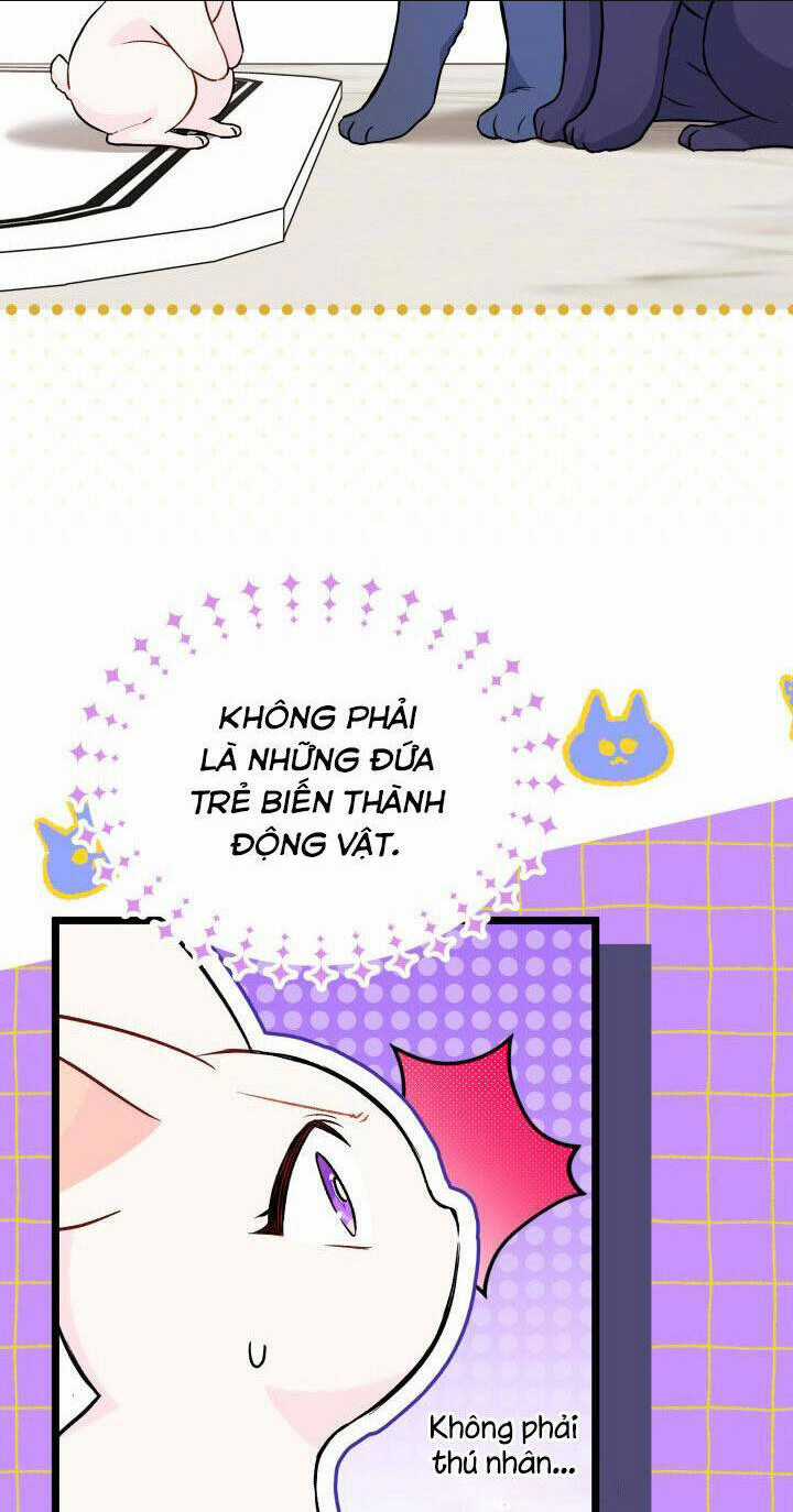 Mối Liên Kết Giữa Báo Đen Và Bé Thỏ Chapter 134 trang 15