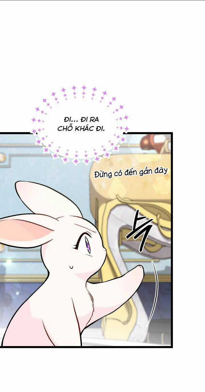 Mối Liên Kết Giữa Báo Đen Và Bé Thỏ Chapter 134 trang 17