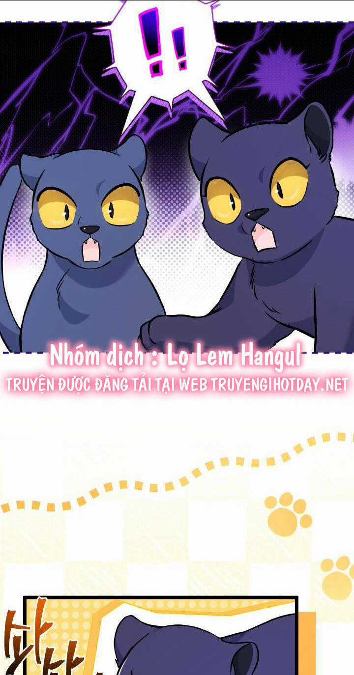 Mối Liên Kết Giữa Báo Đen Và Bé Thỏ Chapter 134 trang 20