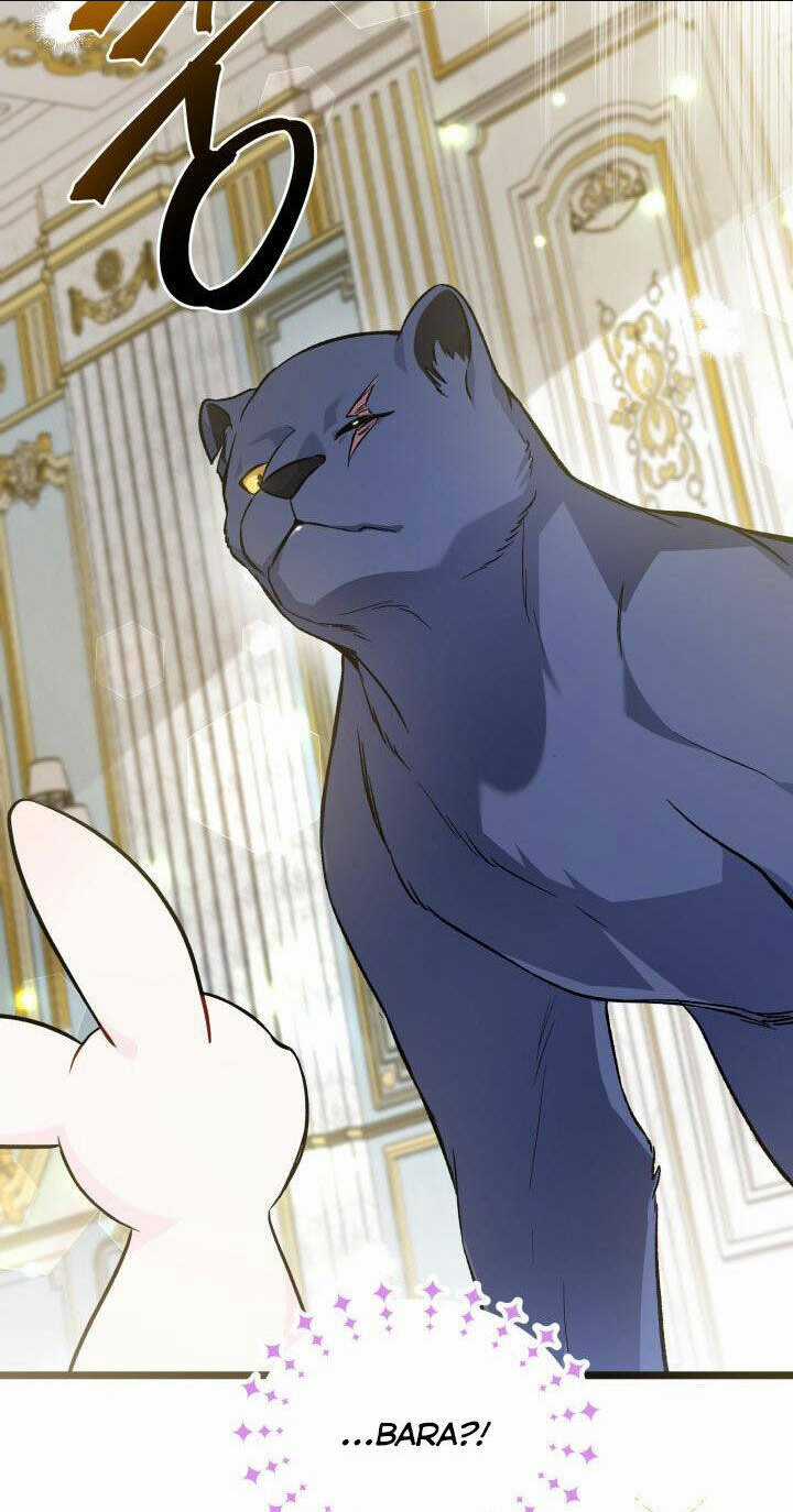 Mối Liên Kết Giữa Báo Đen Và Bé Thỏ Chapter 134 trang 28