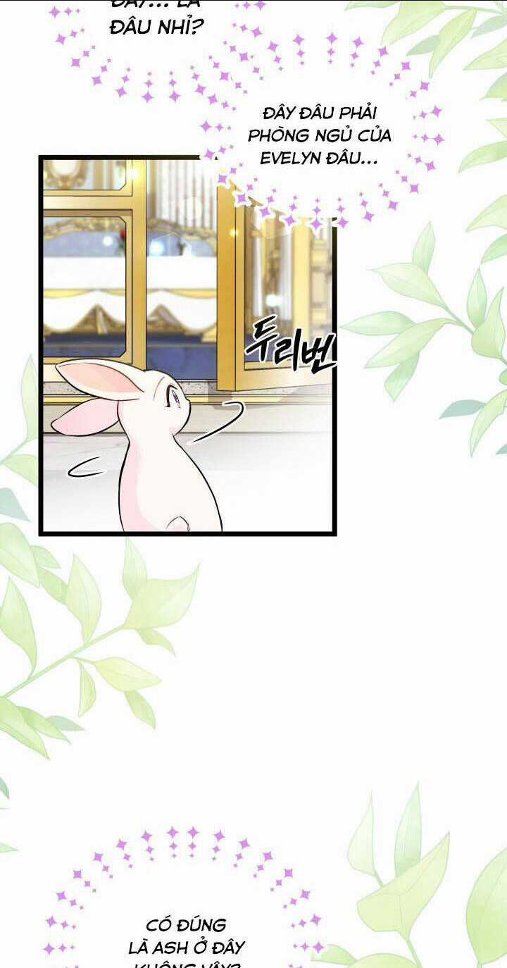 Mối Liên Kết Giữa Báo Đen Và Bé Thỏ Chapter 134 trang 3