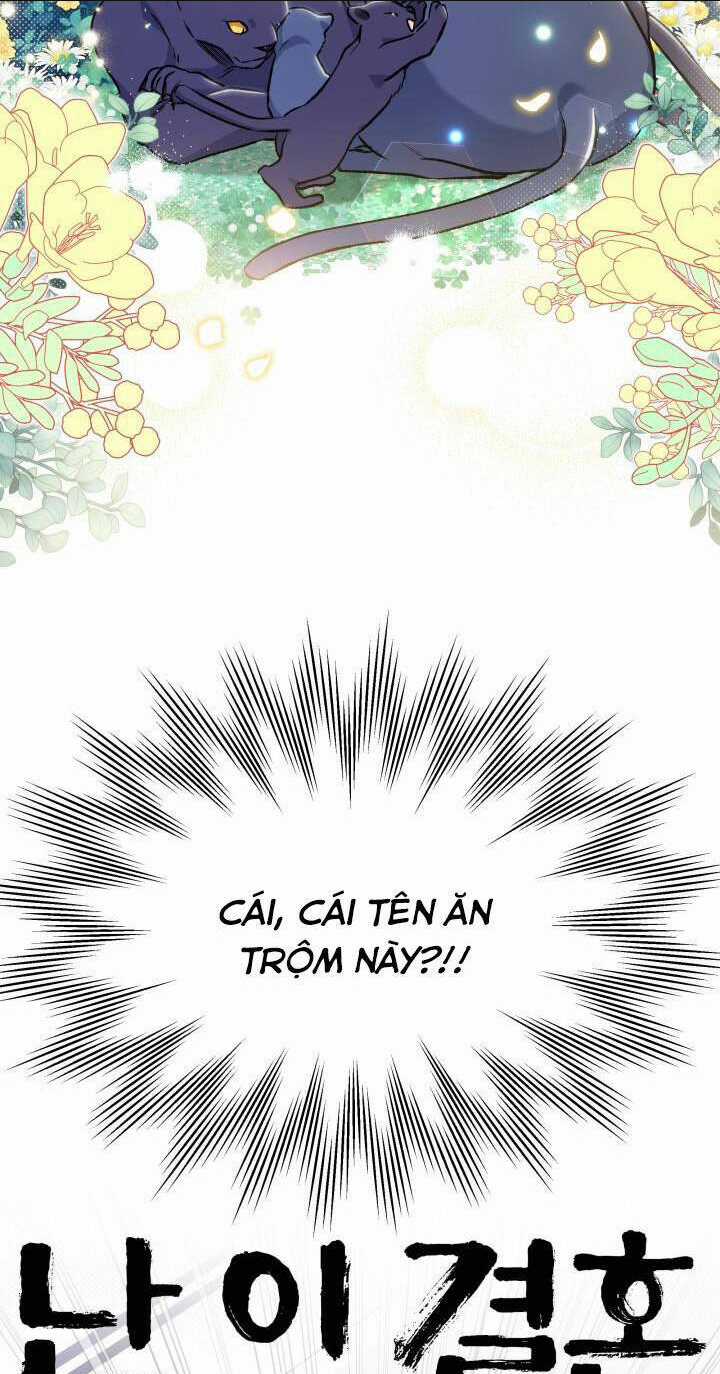 Mối Liên Kết Giữa Báo Đen Và Bé Thỏ Chapter 134 trang 33