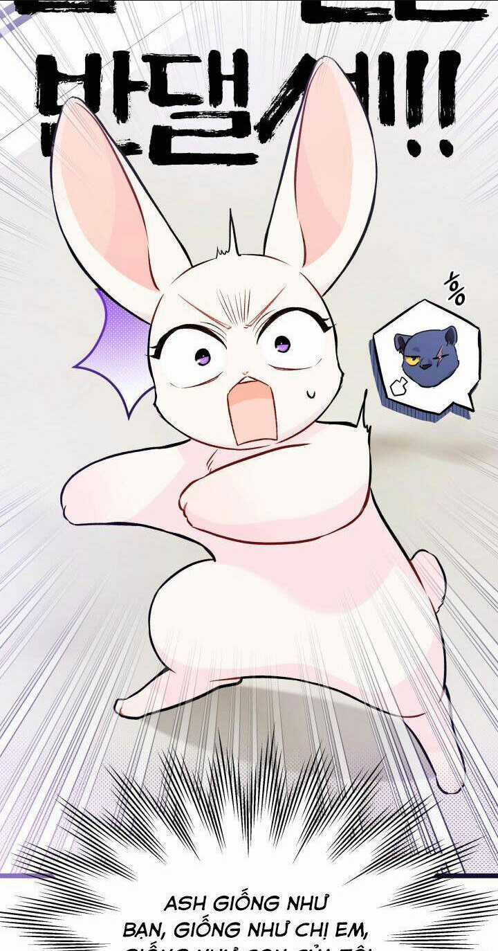 Mối Liên Kết Giữa Báo Đen Và Bé Thỏ Chapter 134 trang 34
