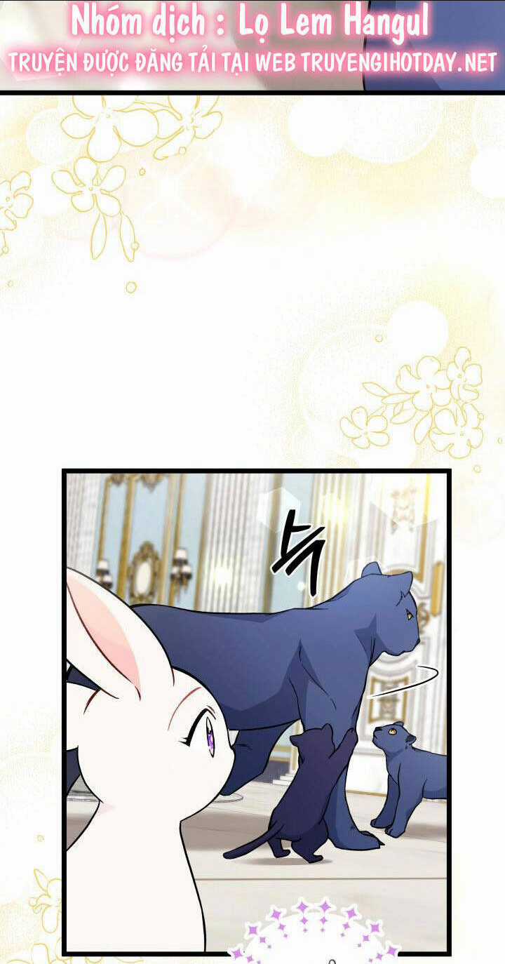 Mối Liên Kết Giữa Báo Đen Và Bé Thỏ Chapter 134 trang 37