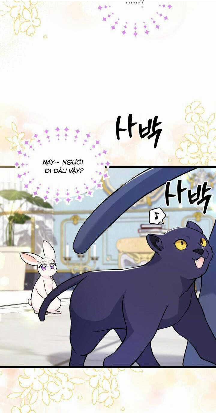 Mối Liên Kết Giữa Báo Đen Và Bé Thỏ Chapter 134 trang 38