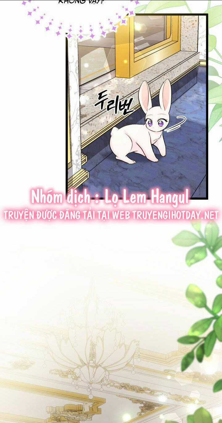 Mối Liên Kết Giữa Báo Đen Và Bé Thỏ Chapter 134 trang 4