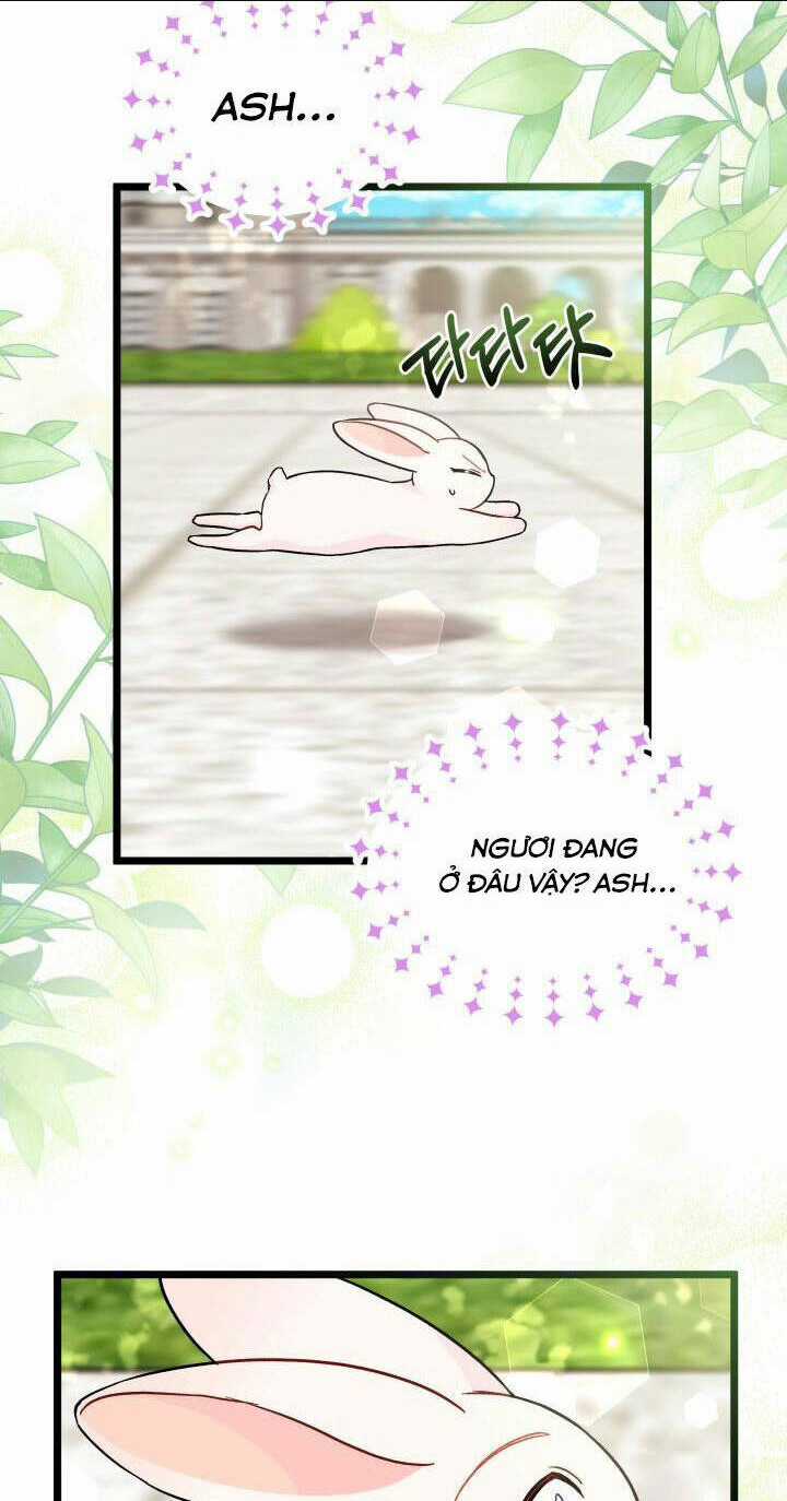 Mối Liên Kết Giữa Báo Đen Và Bé Thỏ Chapter 134 trang 51