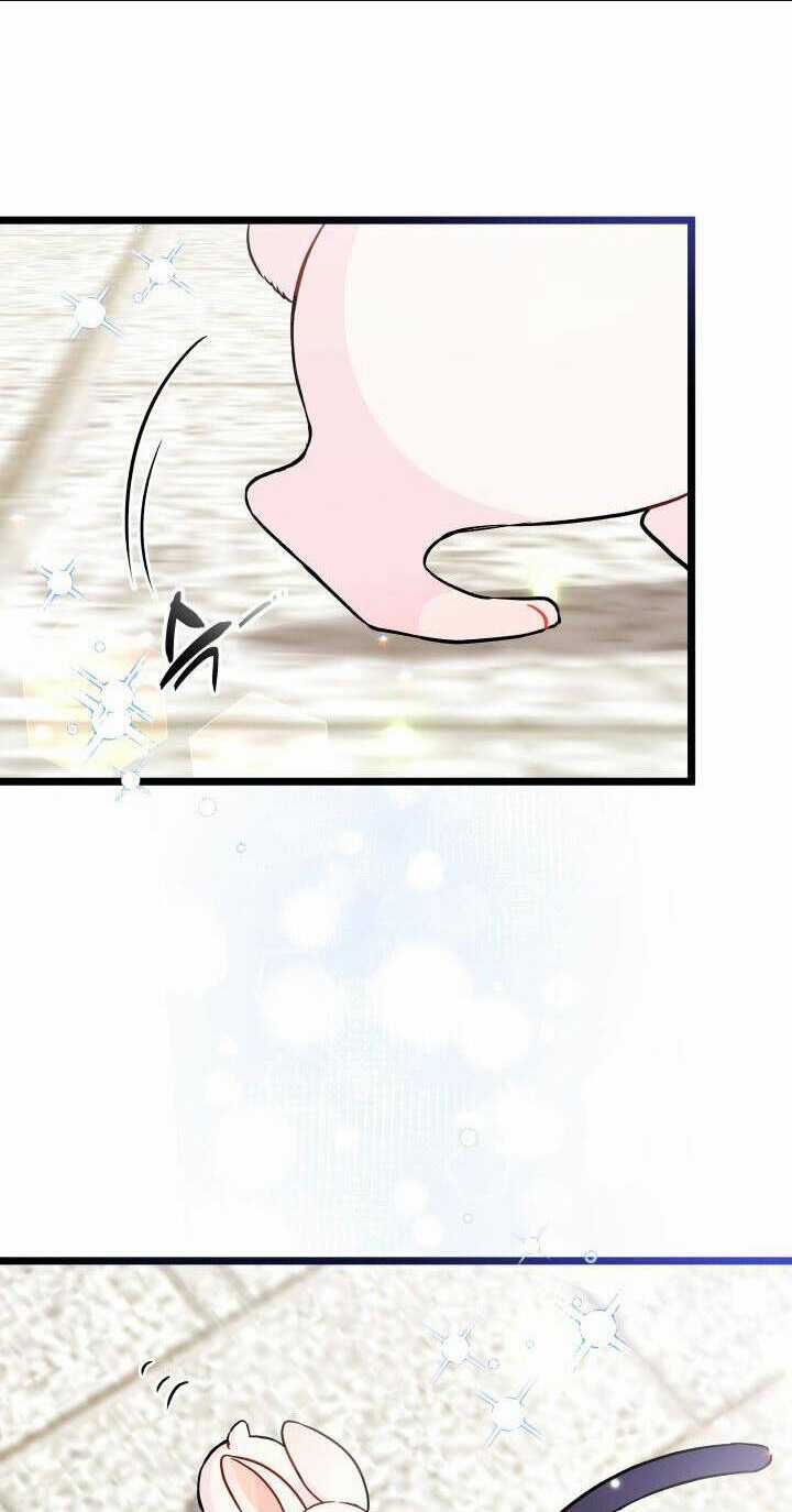 Mối Liên Kết Giữa Báo Đen Và Bé Thỏ Chapter 134 trang 59
