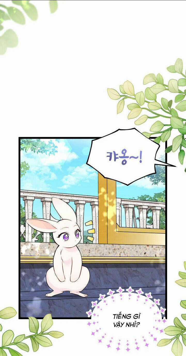 Mối Liên Kết Giữa Báo Đen Và Bé Thỏ Chapter 134 trang 6