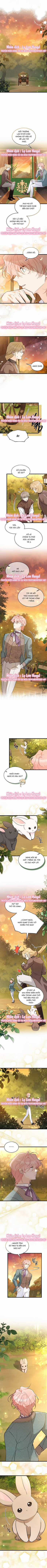Mối Liên Kết Giữa Báo Đen Và Bé Thỏ Chapter 136 trang 3