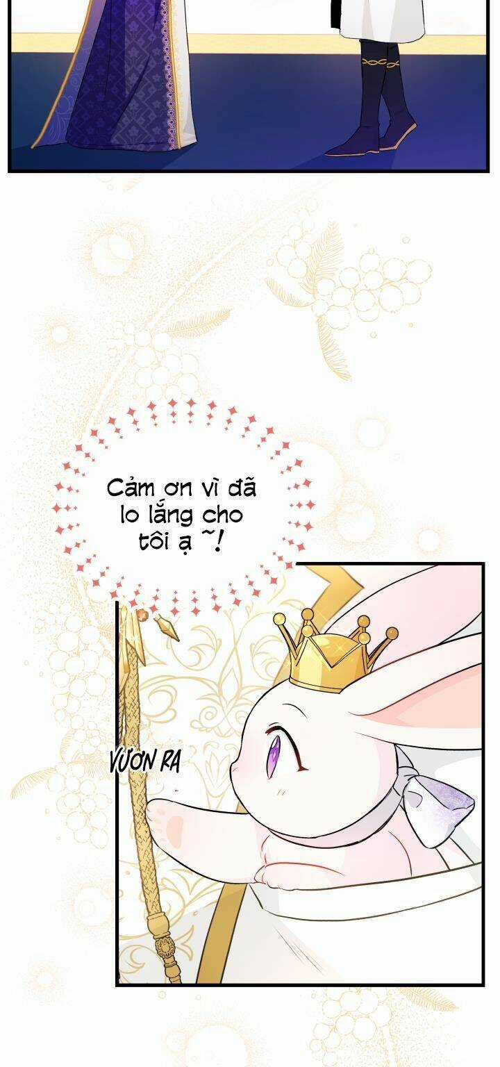 Mối Liên Kết Giữa Báo Đen Và Bé Thỏ Chapter 18 trang 19