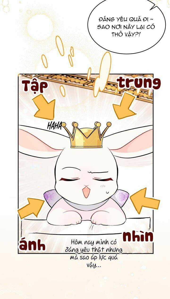 Mối Liên Kết Giữa Báo Đen Và Bé Thỏ Chapter 18 trang 7