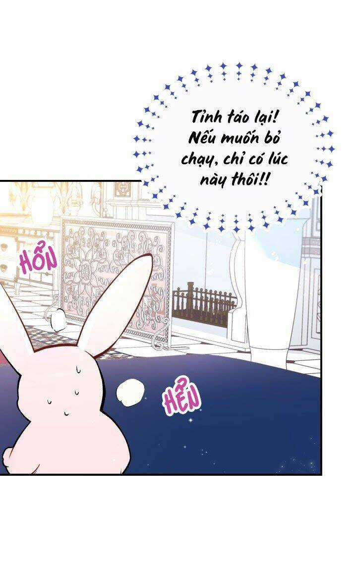 Mối Liên Kết Giữa Báo Đen Và Bé Thỏ Chapter 2 trang 10