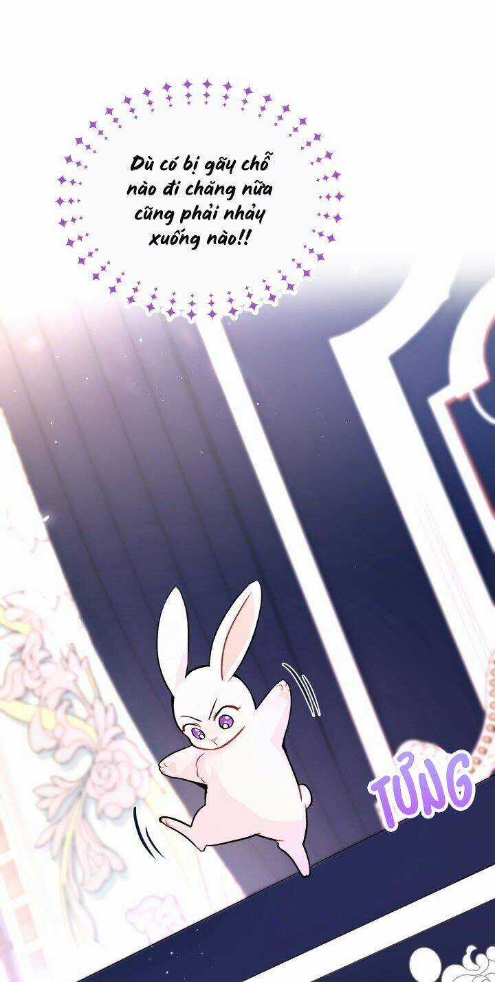 Mối Liên Kết Giữa Báo Đen Và Bé Thỏ Chapter 2 trang 11