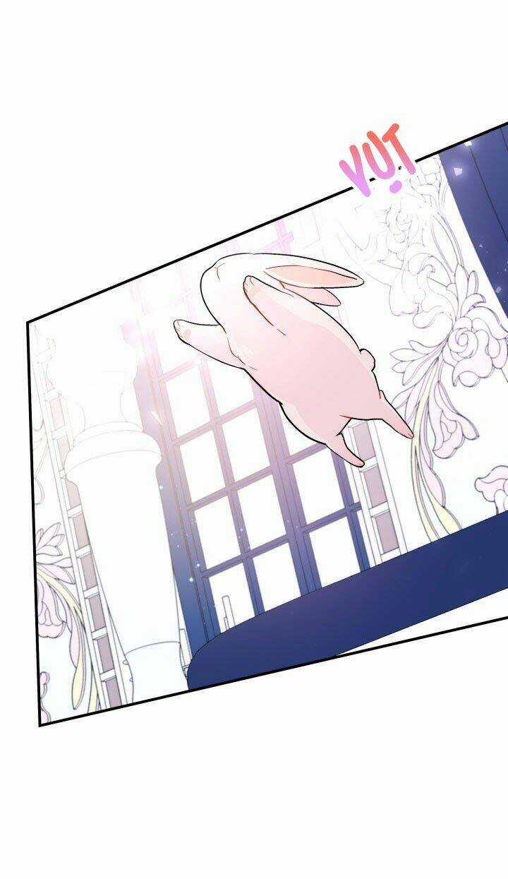 Mối Liên Kết Giữa Báo Đen Và Bé Thỏ Chapter 2 trang 13