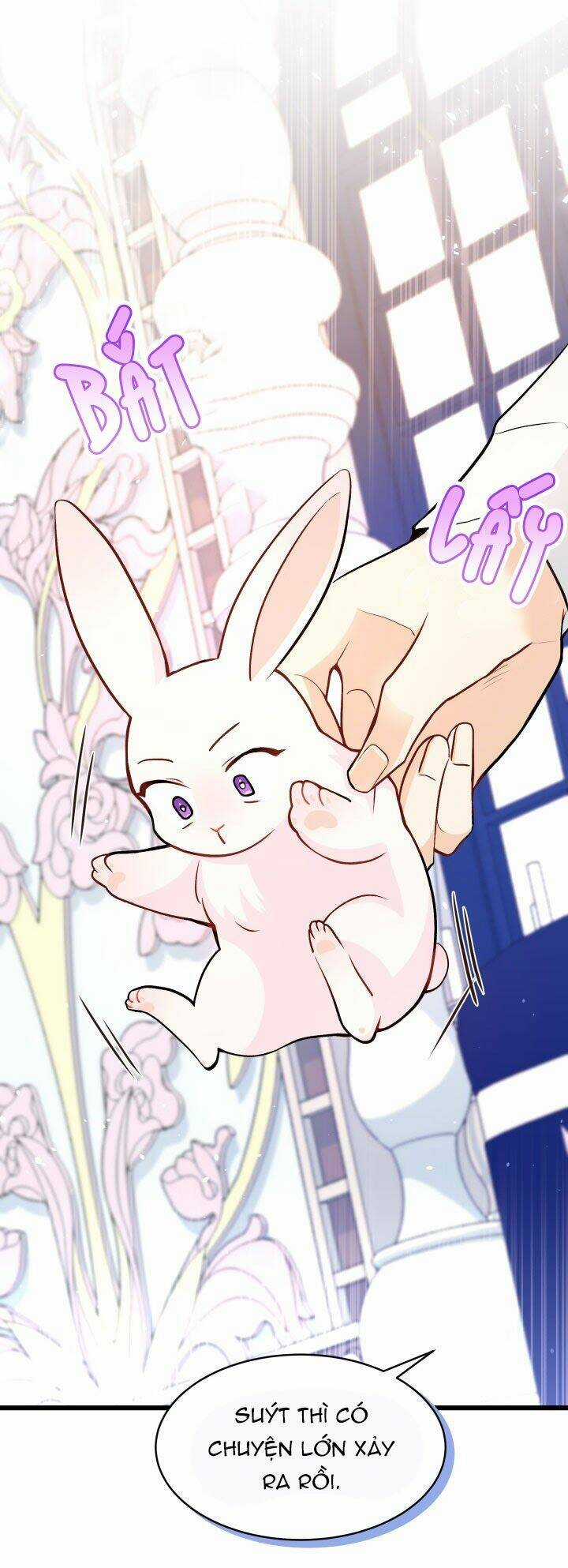 Mối Liên Kết Giữa Báo Đen Và Bé Thỏ Chapter 2 trang 15