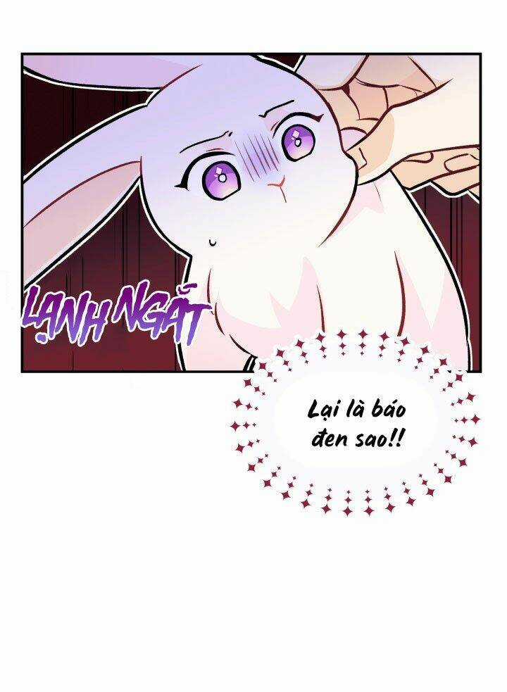 Mối Liên Kết Giữa Báo Đen Và Bé Thỏ Chapter 2 trang 19