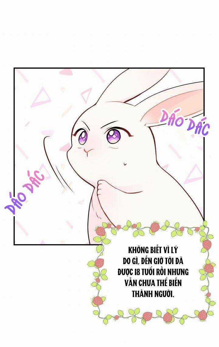 Mối Liên Kết Giữa Báo Đen Và Bé Thỏ Chapter 2 trang 2