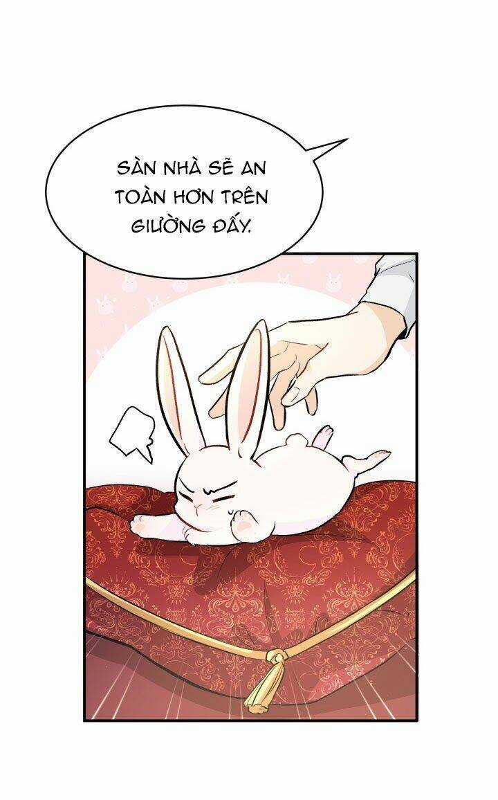 Mối Liên Kết Giữa Báo Đen Và Bé Thỏ Chapter 2 trang 21
