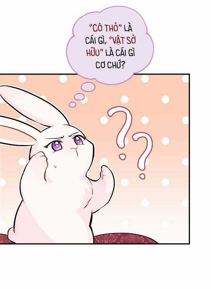 Mối Liên Kết Giữa Báo Đen Và Bé Thỏ Chapter 2 trang 23