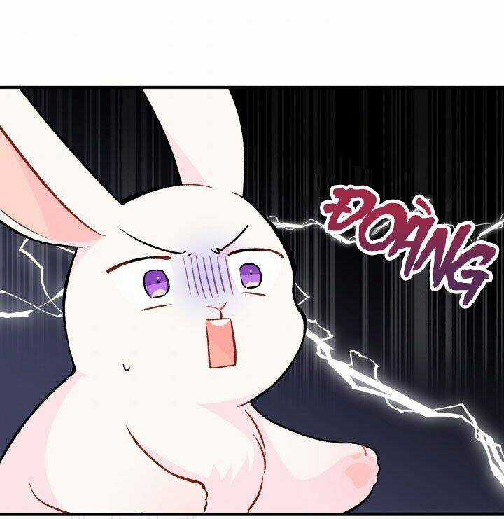 Mối Liên Kết Giữa Báo Đen Và Bé Thỏ Chapter 2 trang 27