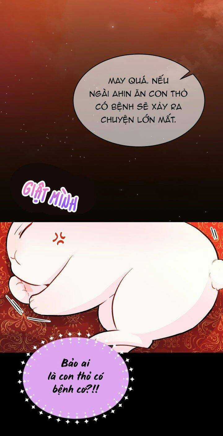 Mối Liên Kết Giữa Báo Đen Và Bé Thỏ Chapter 2 trang 31