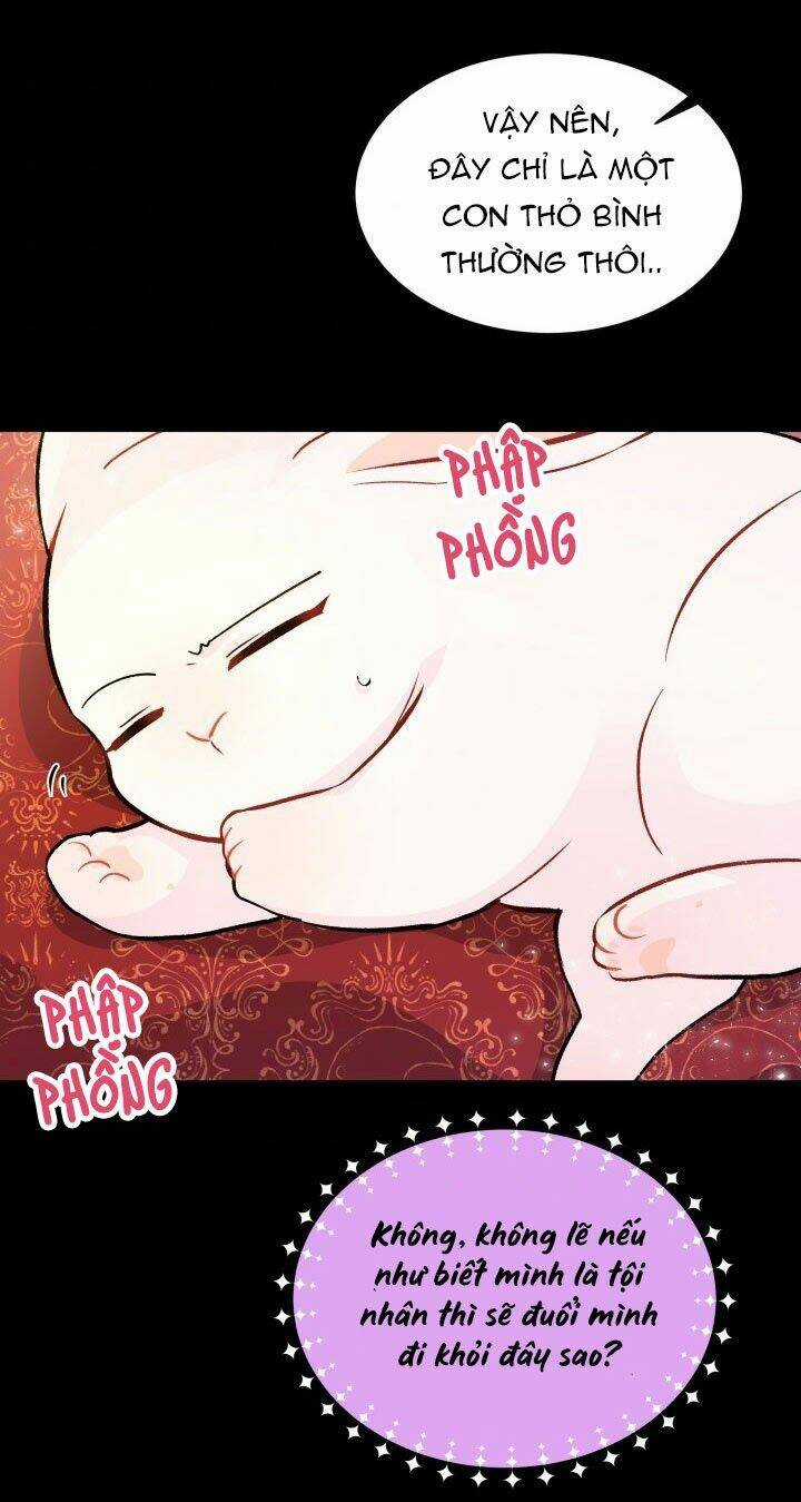 Mối Liên Kết Giữa Báo Đen Và Bé Thỏ Chapter 2 trang 36