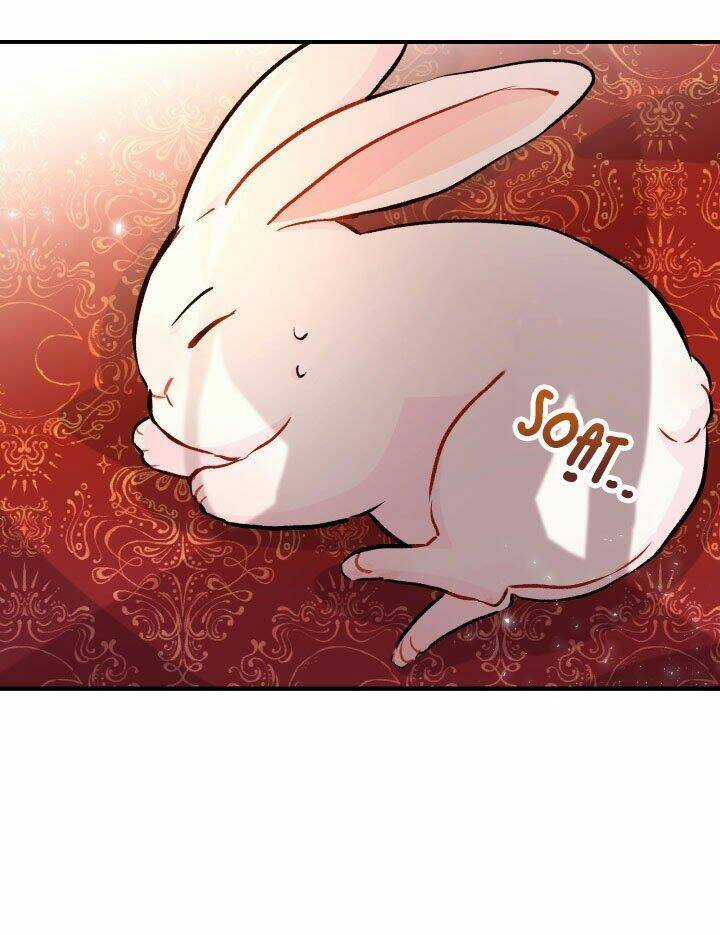 Mối Liên Kết Giữa Báo Đen Và Bé Thỏ Chapter 2 trang 43