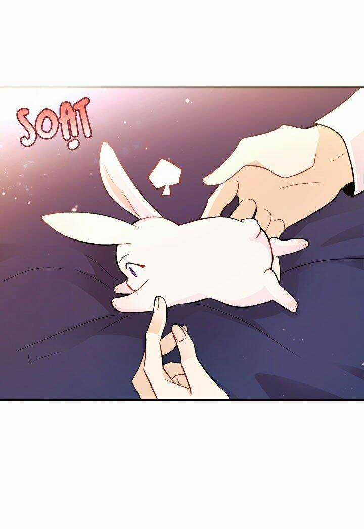 Mối Liên Kết Giữa Báo Đen Và Bé Thỏ Chapter 2 trang 65