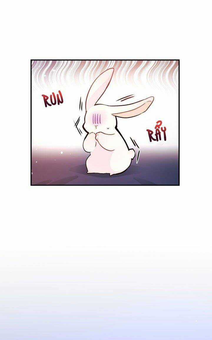 Mối Liên Kết Giữa Báo Đen Và Bé Thỏ Chapter 2 trang 68