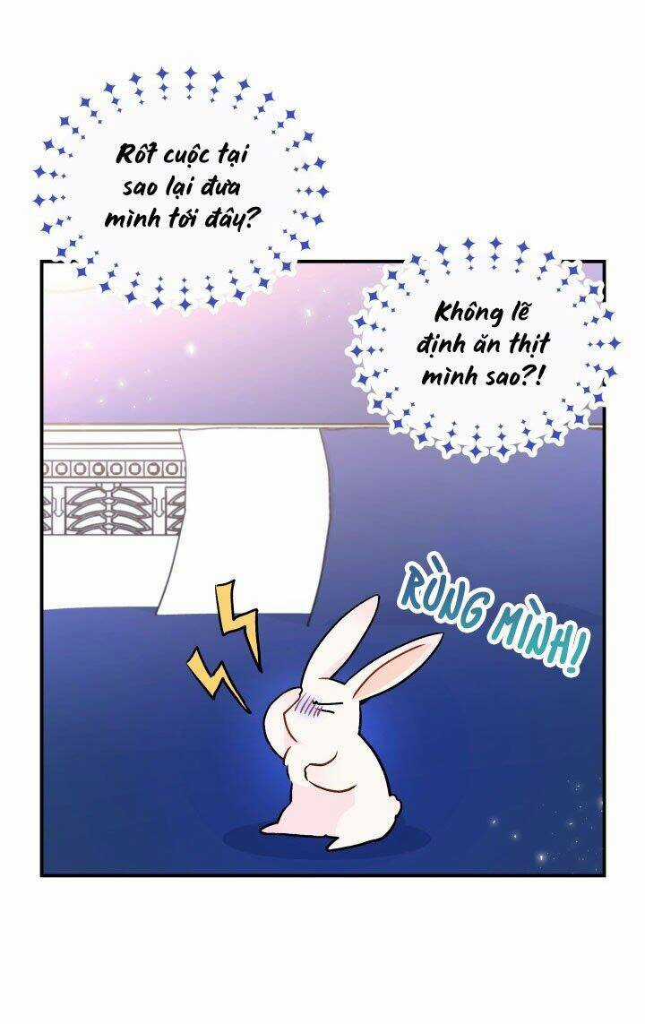 Mối Liên Kết Giữa Báo Đen Và Bé Thỏ Chapter 2 trang 7