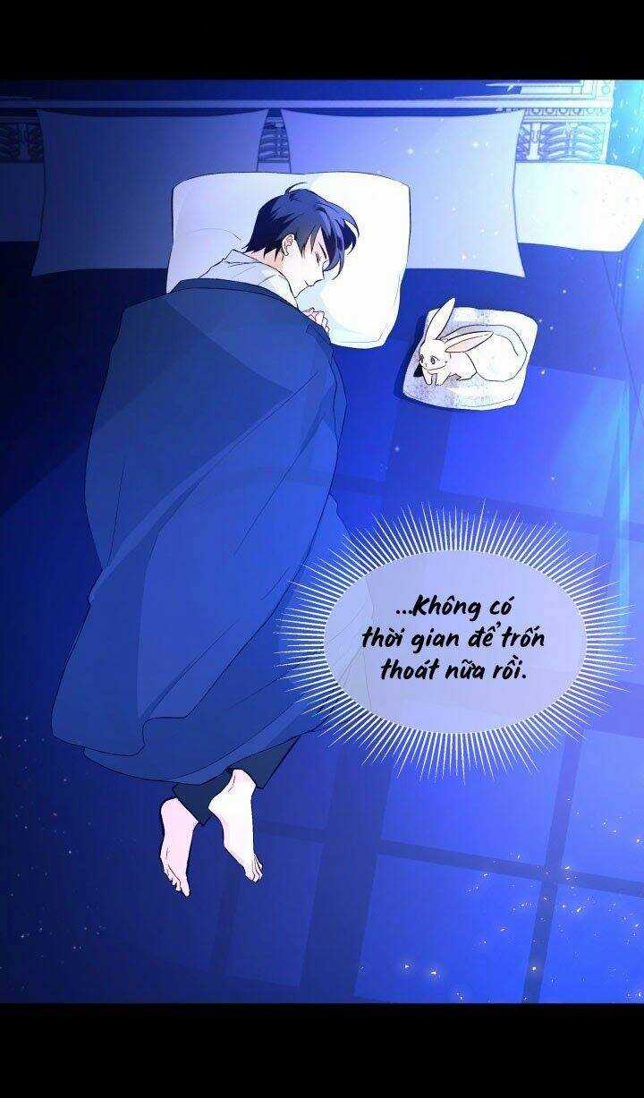 Mối Liên Kết Giữa Báo Đen Và Bé Thỏ Chapter 2 trang 71