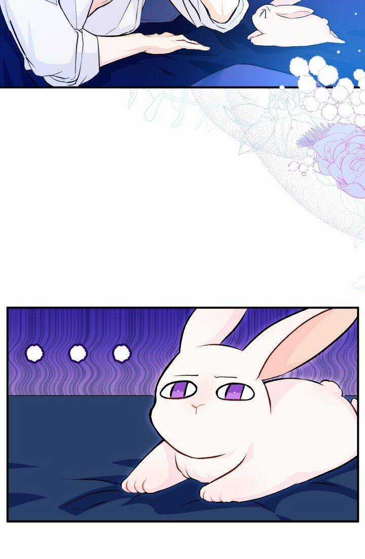 Mối Liên Kết Giữa Báo Đen Và Bé Thỏ Chapter 3 trang 18