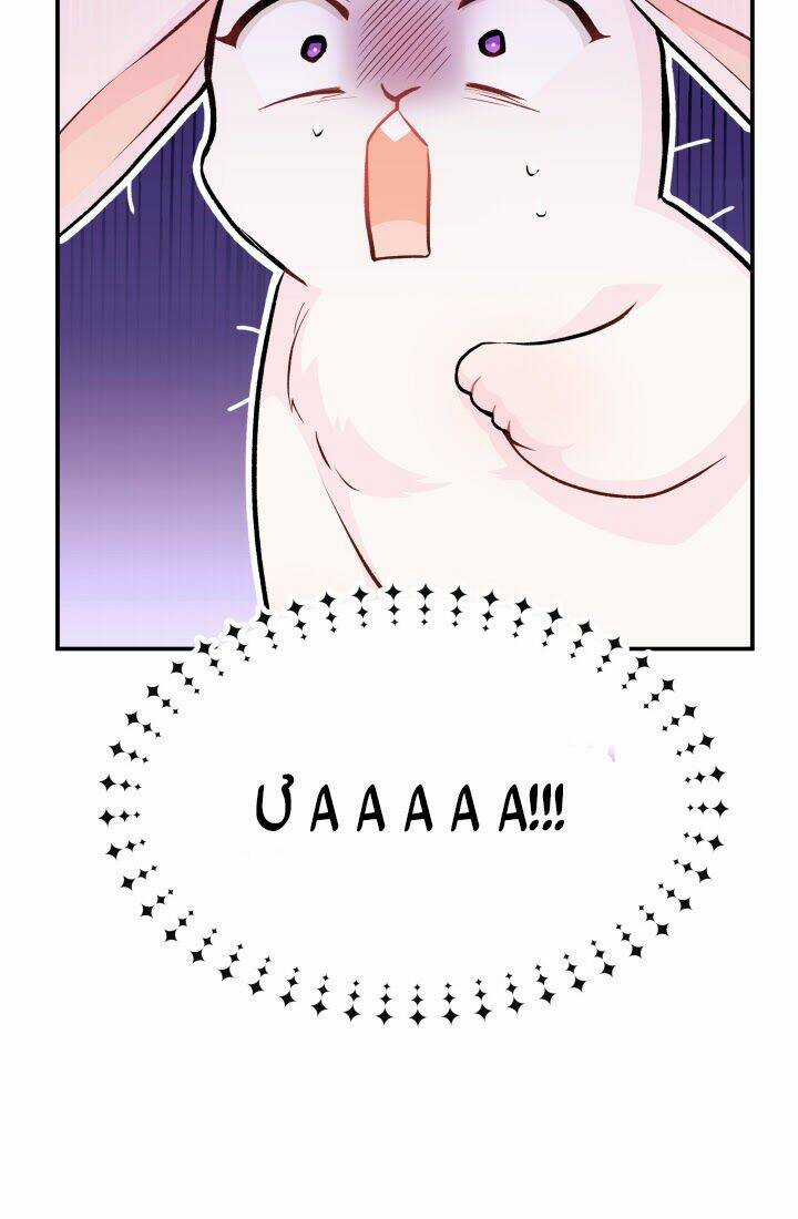 Mối Liên Kết Giữa Báo Đen Và Bé Thỏ Chapter 3 trang 3