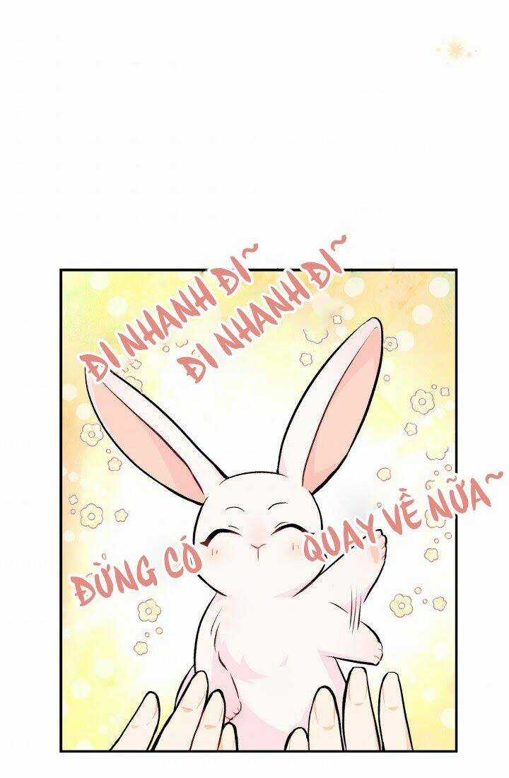 Mối Liên Kết Giữa Báo Đen Và Bé Thỏ Chapter 3 trang 41