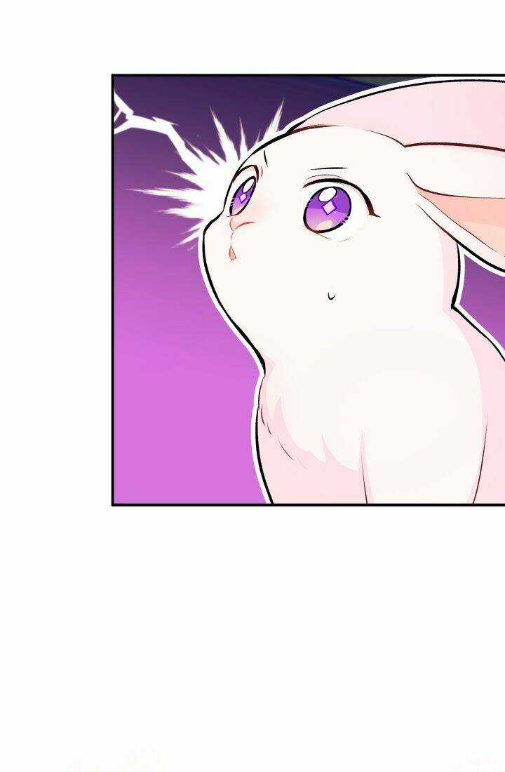 Mối Liên Kết Giữa Báo Đen Và Bé Thỏ Chapter 3 trang 46