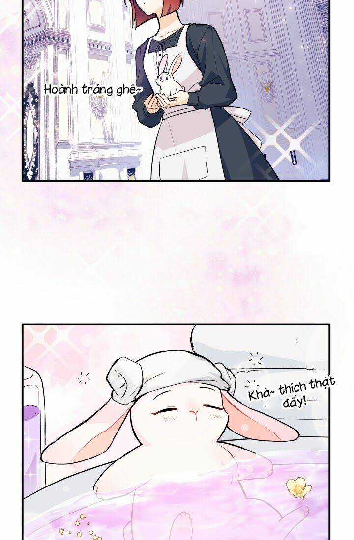 Mối Liên Kết Giữa Báo Đen Và Bé Thỏ Chapter 3 trang 48