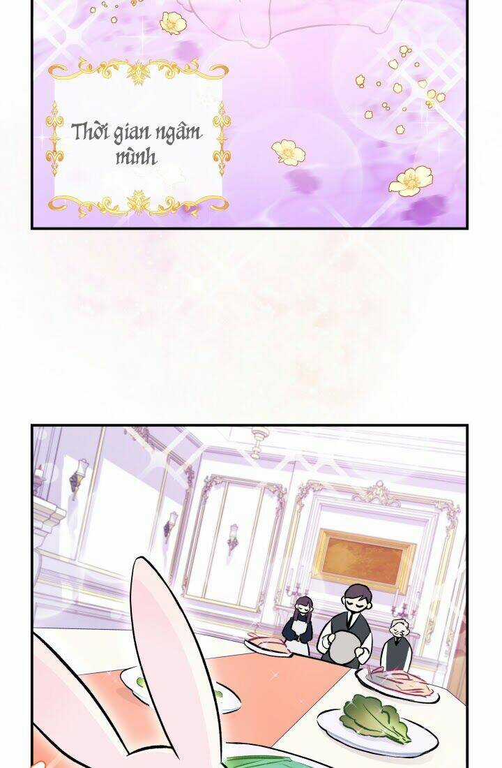 Mối Liên Kết Giữa Báo Đen Và Bé Thỏ Chapter 3 trang 49