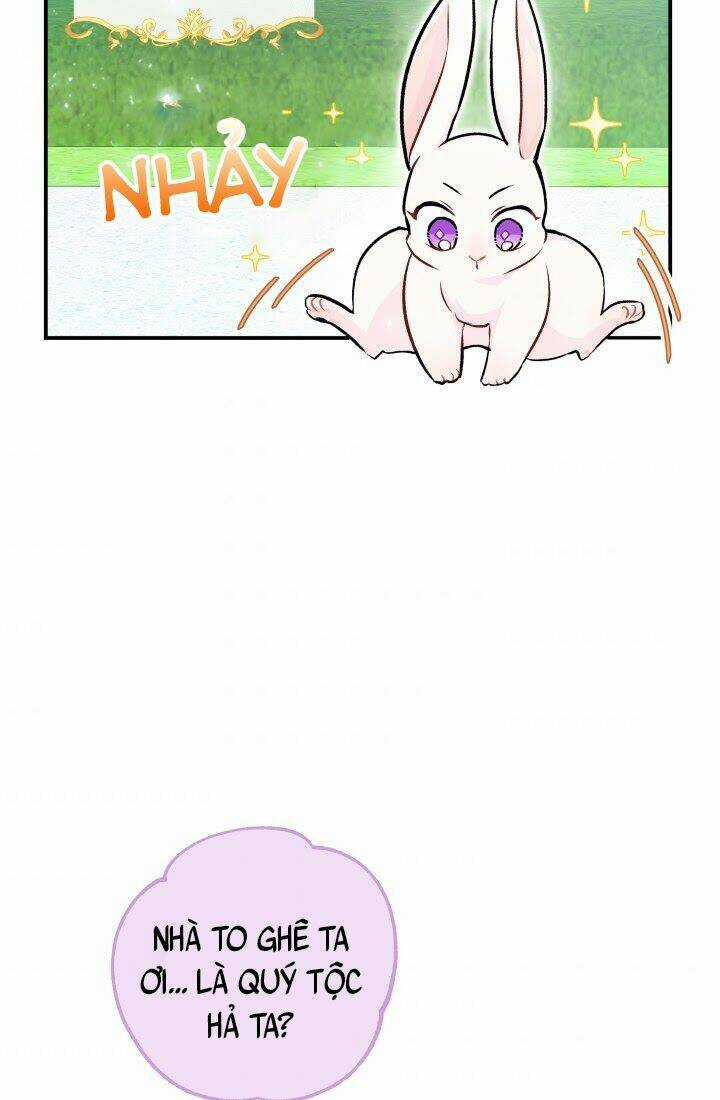 Mối Liên Kết Giữa Báo Đen Và Bé Thỏ Chapter 3 trang 51