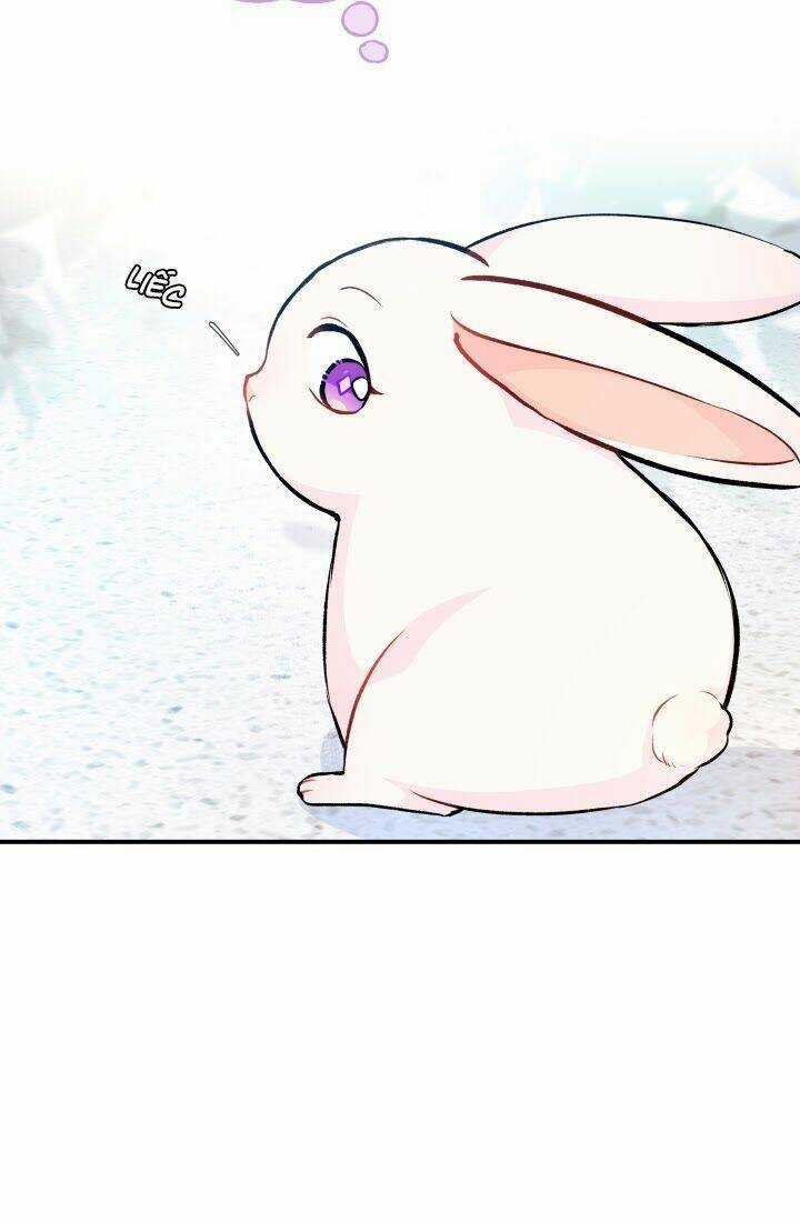 Mối Liên Kết Giữa Báo Đen Và Bé Thỏ Chapter 3 trang 52